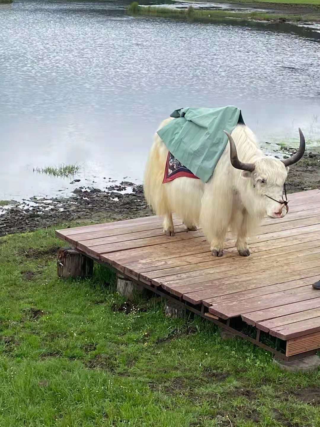 ͼƬ